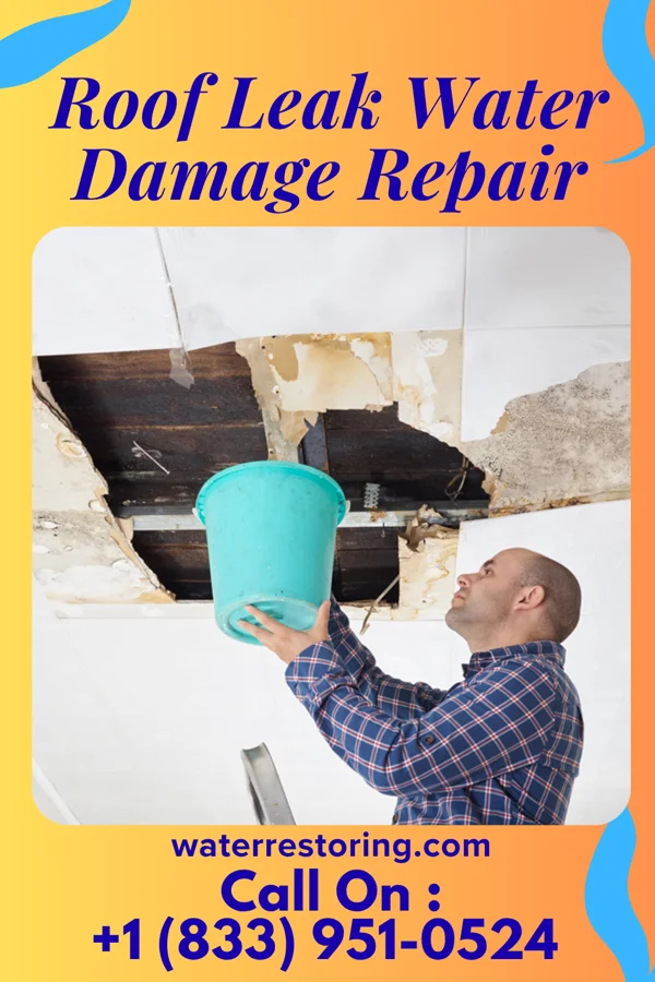 Roof Leak Water Damage Repair in Rader Creek, MT